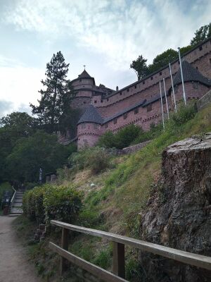 IMG 20220827 185103 1.jpg