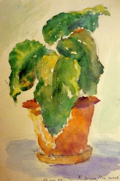 Файл:Ходирєва Євгенія Володимирівна — Творчість 42.jpg