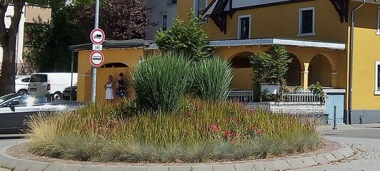 IMG 20220716 152451 3.jpg