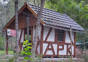 IMG 20220827 164500 1.jpg