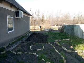 Огородик за домом. Грушу я уже спилил.