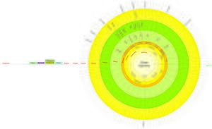 Шуліпа Климент Сергійович — Родословное солнце.jpg