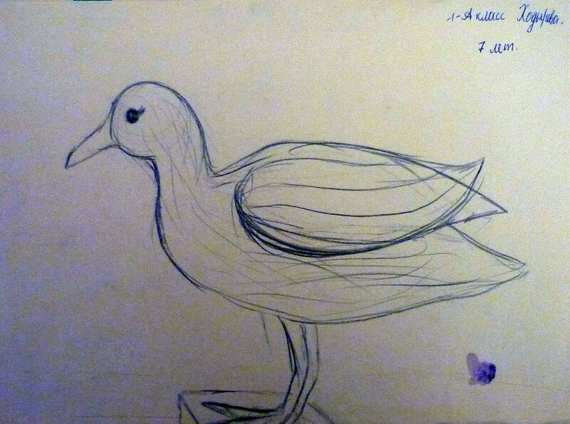 Файл:Ходирєва Євгенія Володимирівна — Творчість 17.jpg