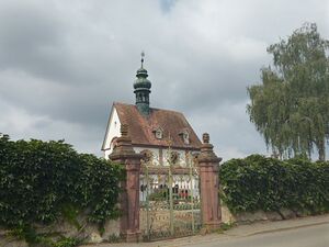 IMG 20220827 115439 1.jpg